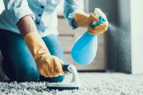 Explore Cleaning Services in Savar